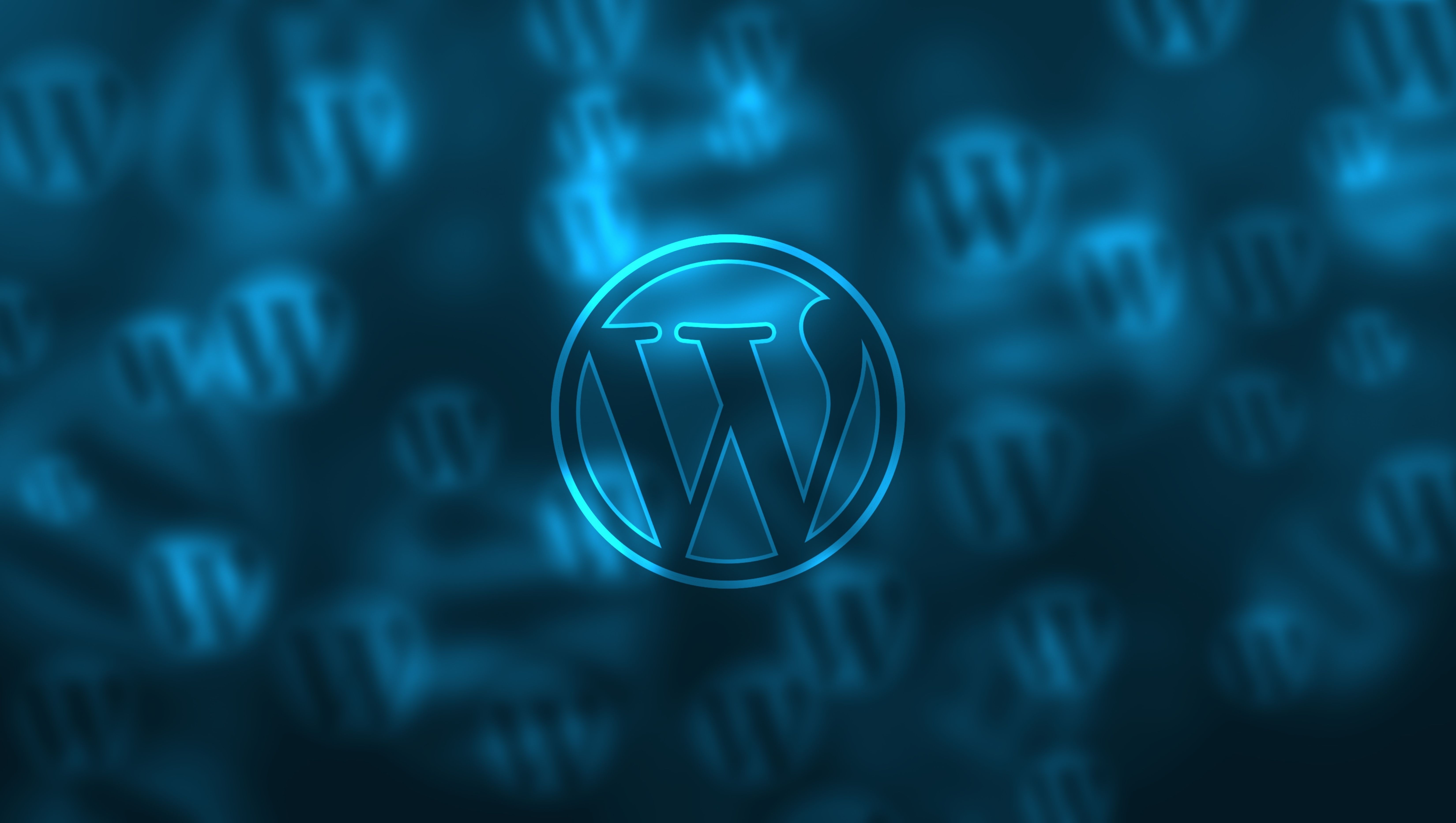 We Recommend WordPress