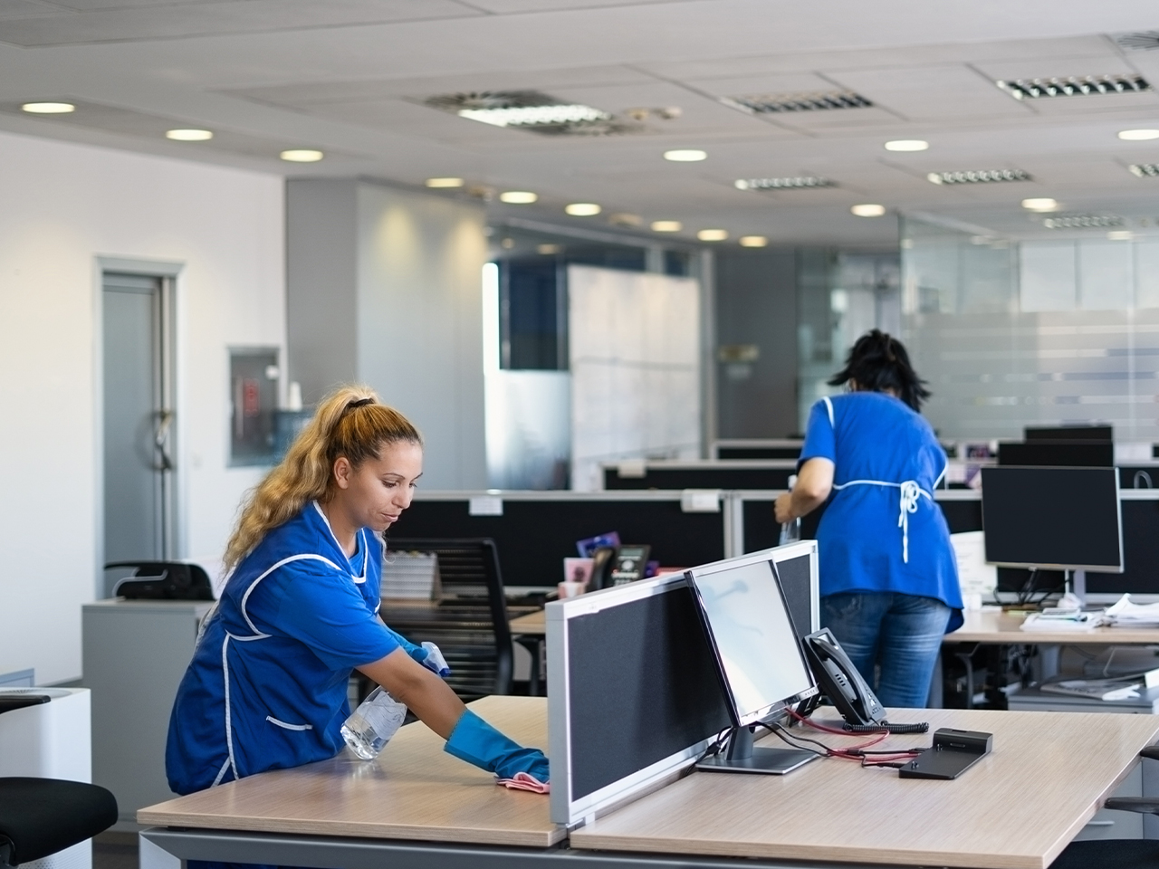 Professional cleaning company services