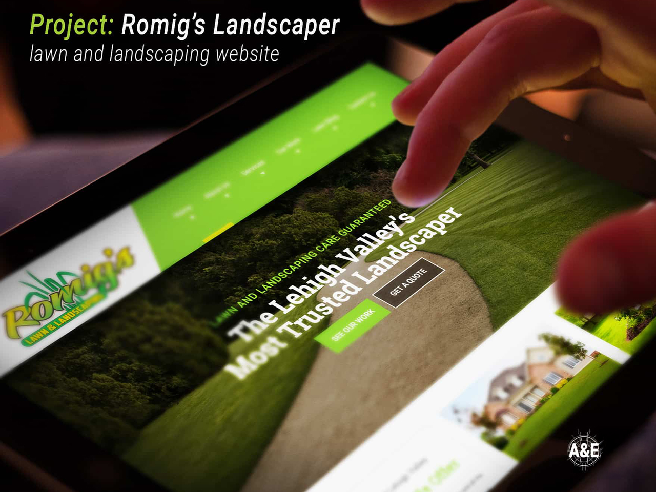 Professional lawn care services