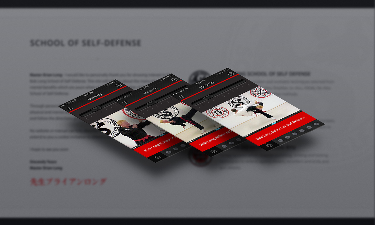 Bob Long School of Self Defense — Image 7